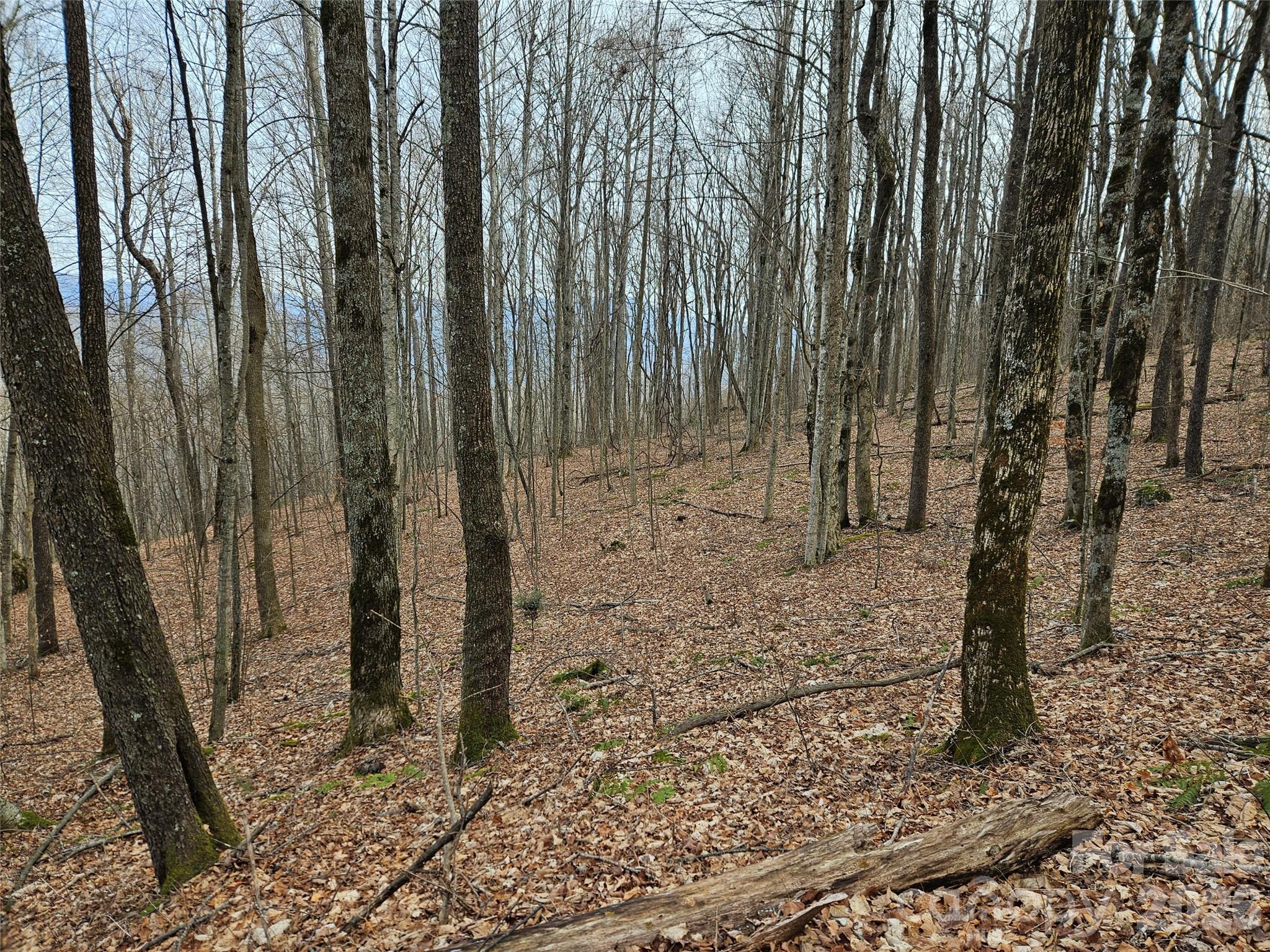 000 Slippery Rock Lane