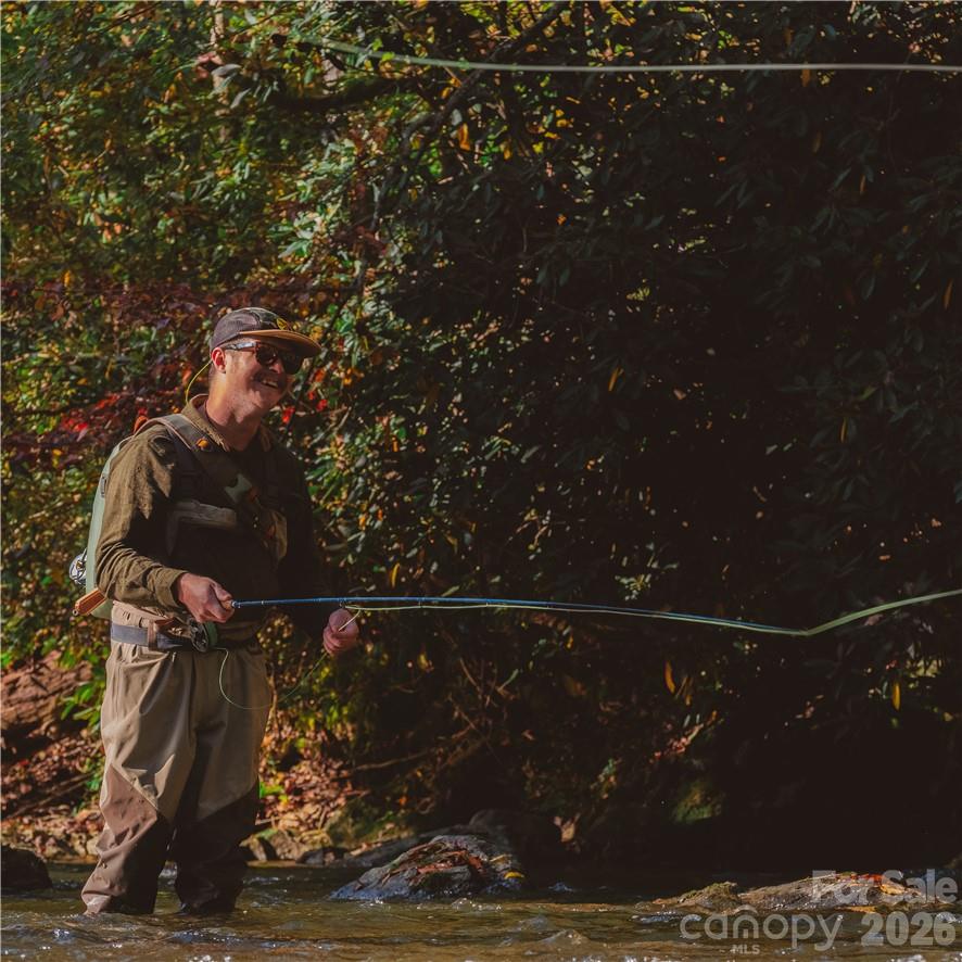 Big Laurel Mountain - Land