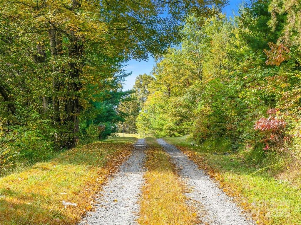 Big Laurel Mountain - Land