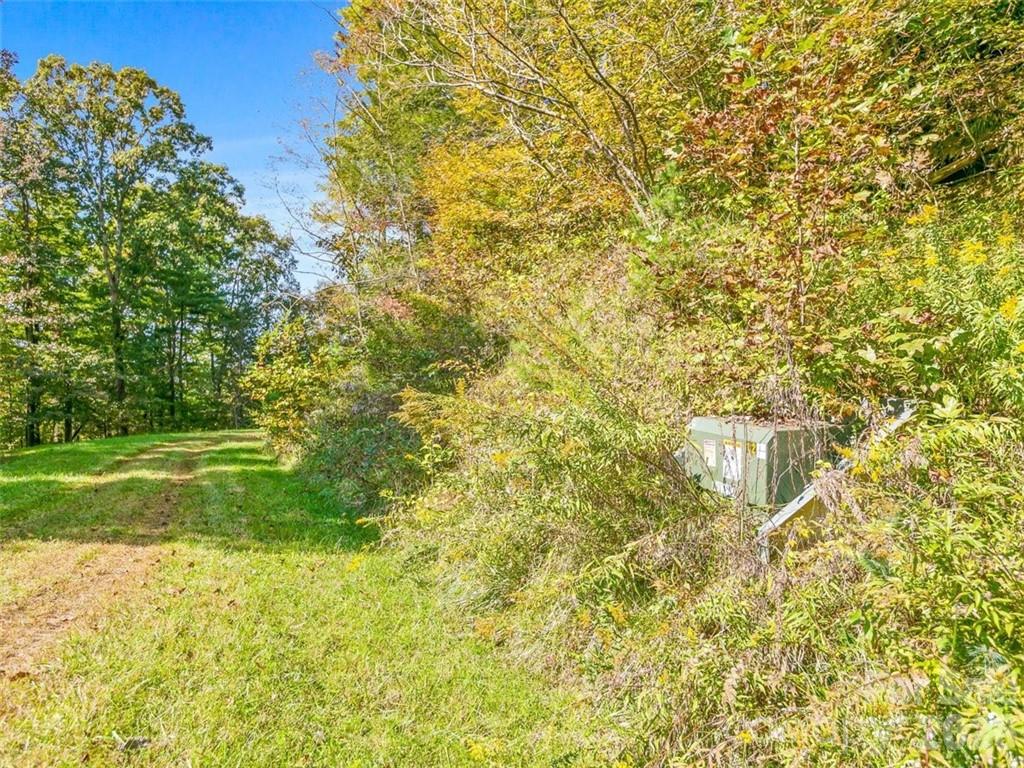 Big Laurel Mountain - Land