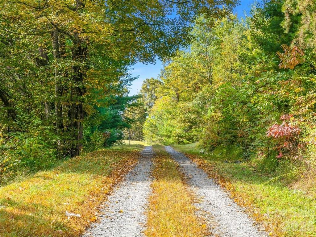 Big Laurel Mountain - Land