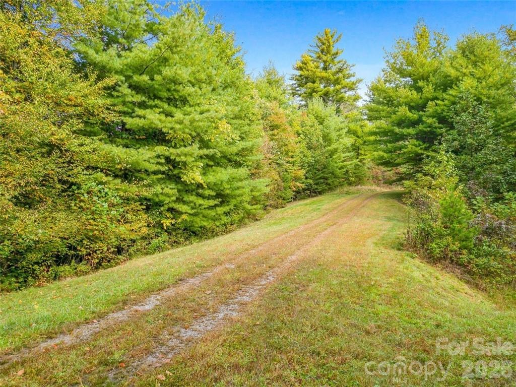 Big Laurel Mountain - Land