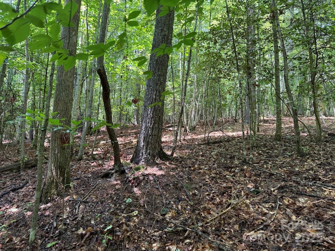 00 Hundred Acres Lane