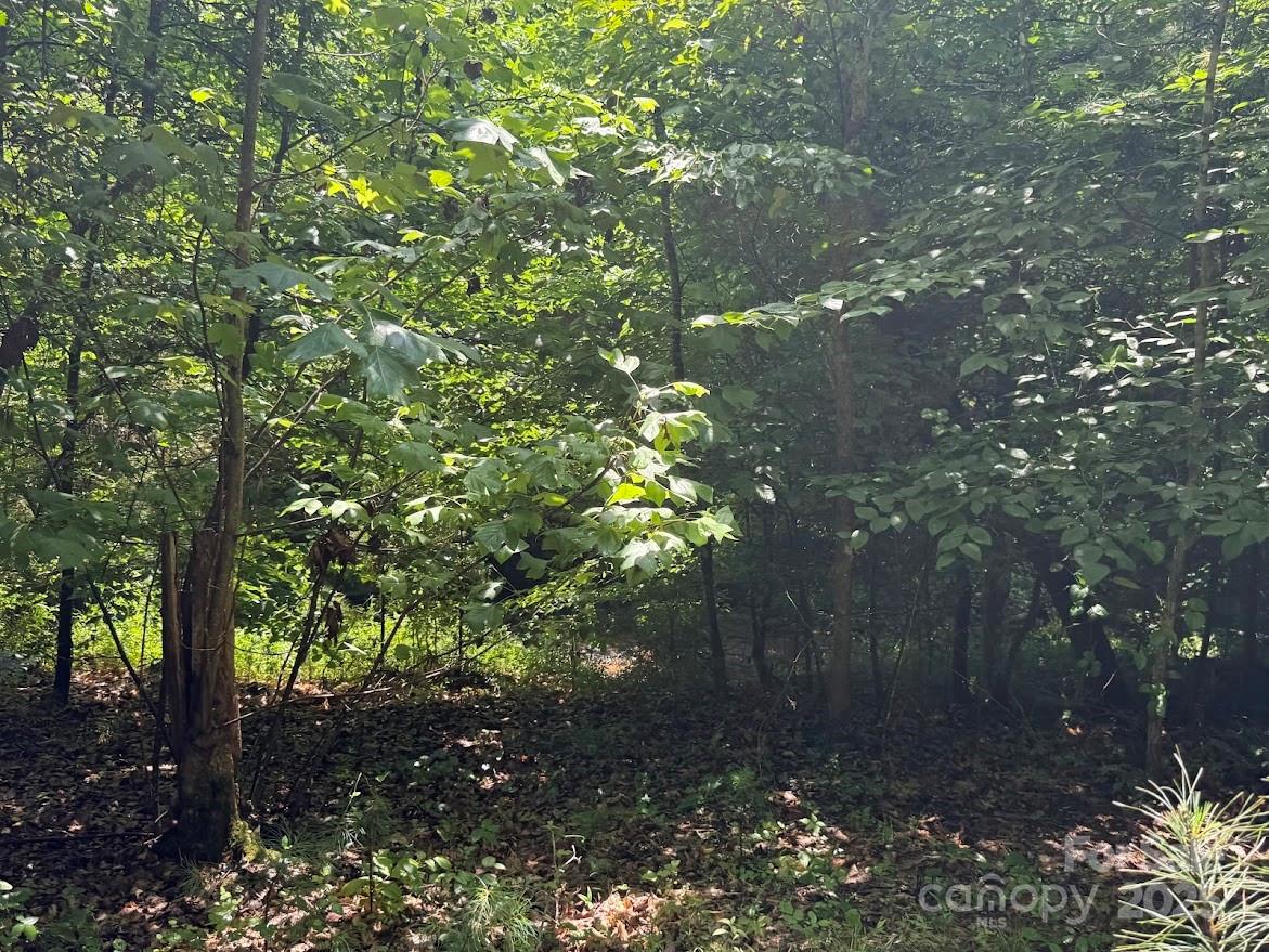 00 Hundred Acres Lane