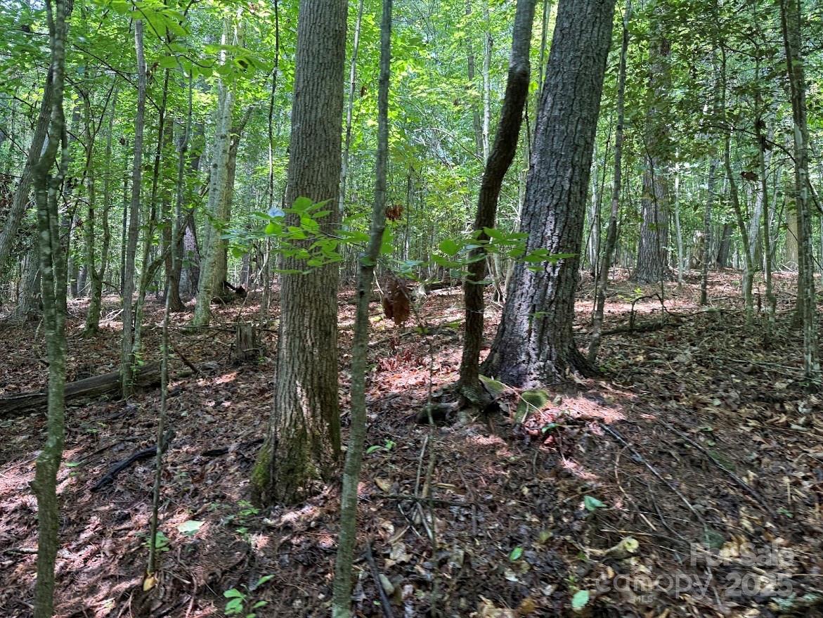 00 Hundred Acres Lane