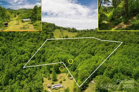 00 Cold Creek Road Canton NC 28716