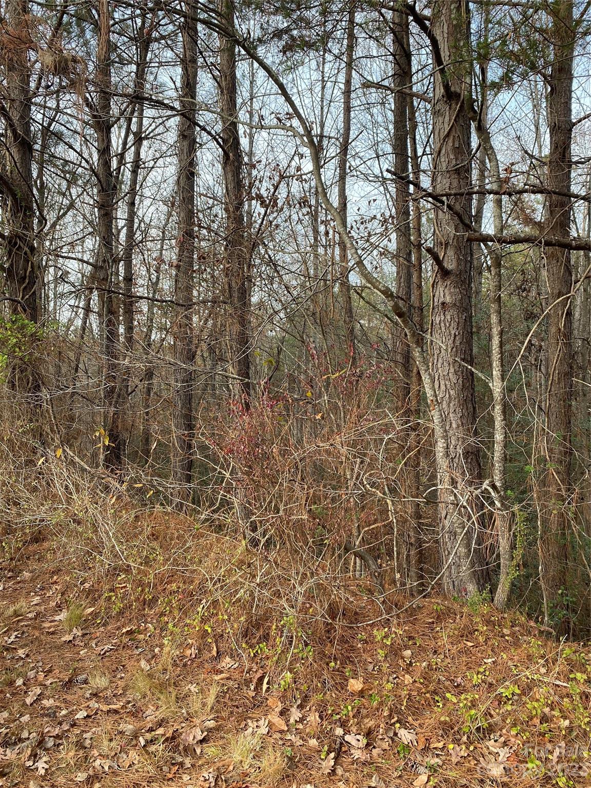 Grace Harbour - Land