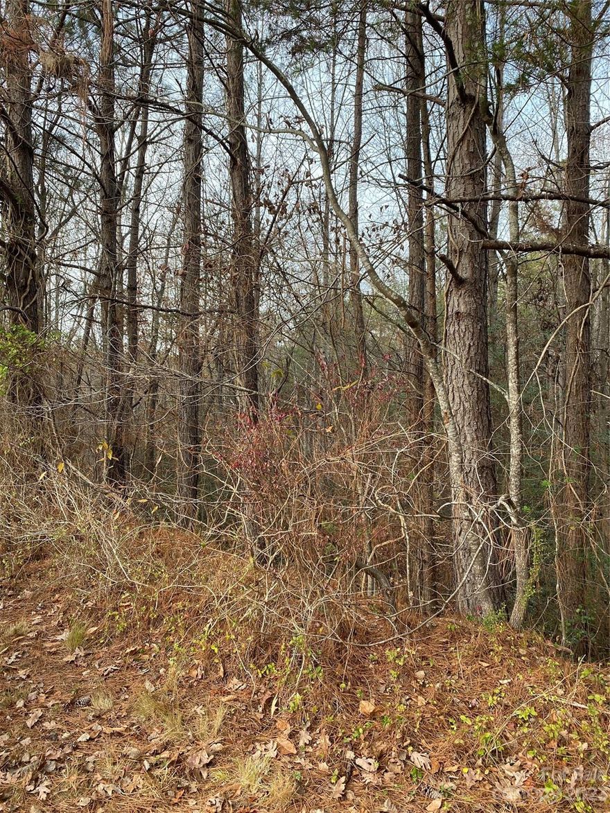 Priced To Sell! Large lot in desirable Grace Harbor, no city taxes yet just a short drive to Hickory. Build your dream home in this lake front community. Lot is located on a dead end street. Building restrictions; 1250 one level, 1400 two story.