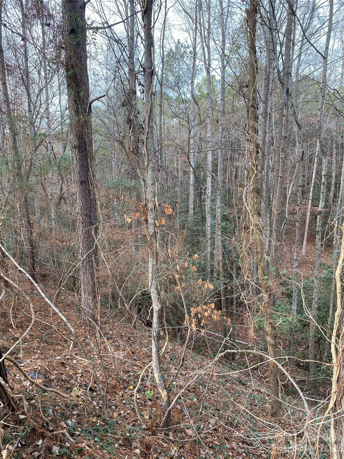 Grace Harbour - Land