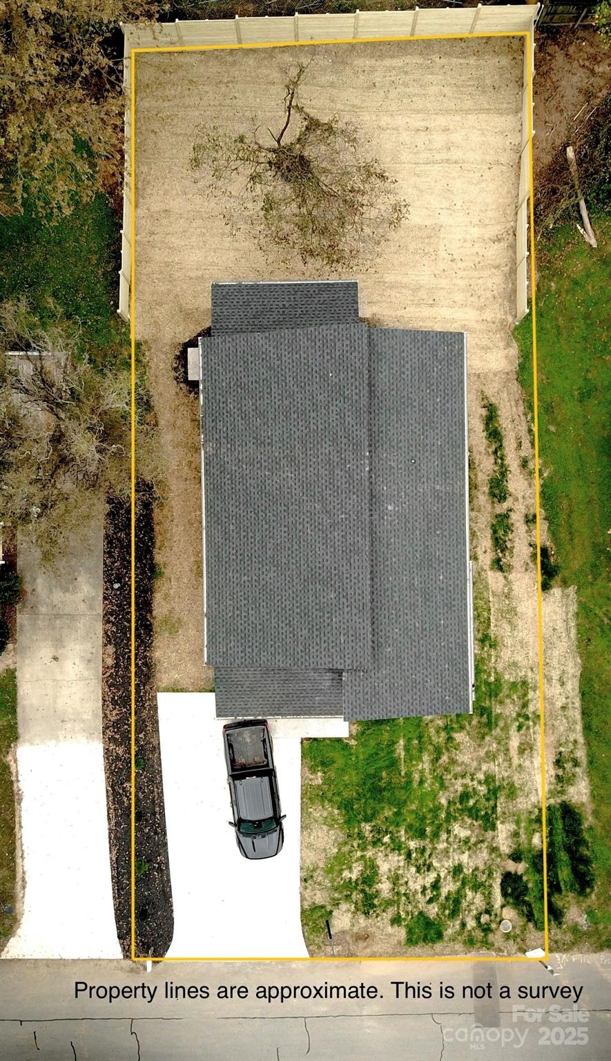 19 Lamar Avenue