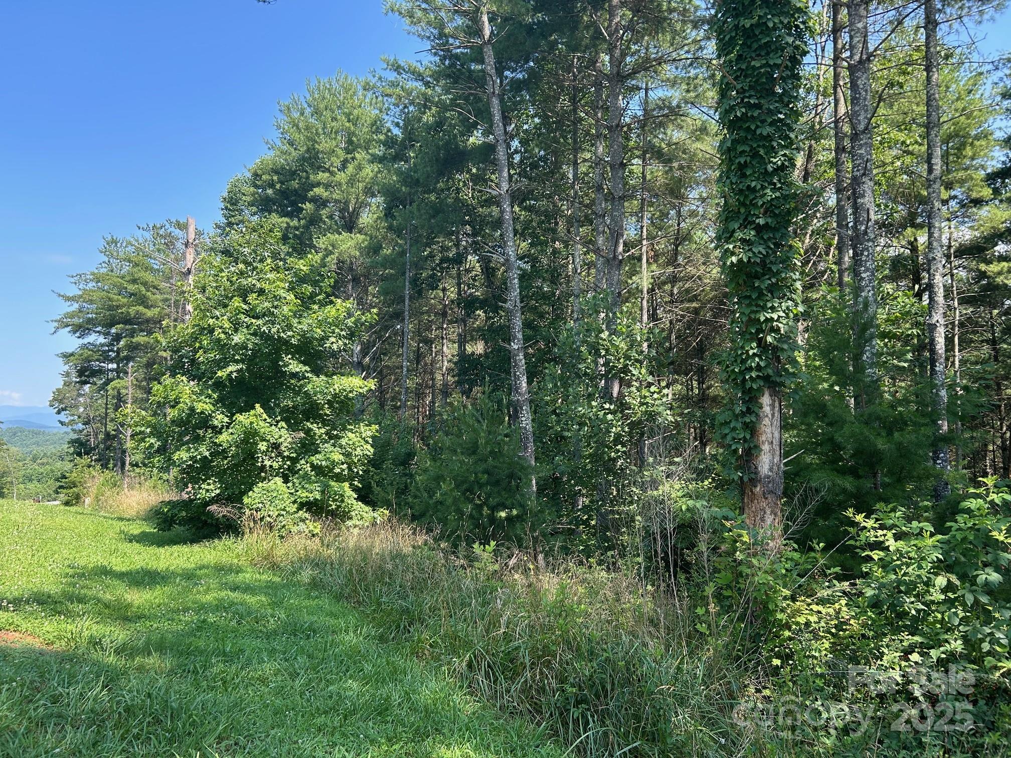 The Peninsula at Lake James - Land