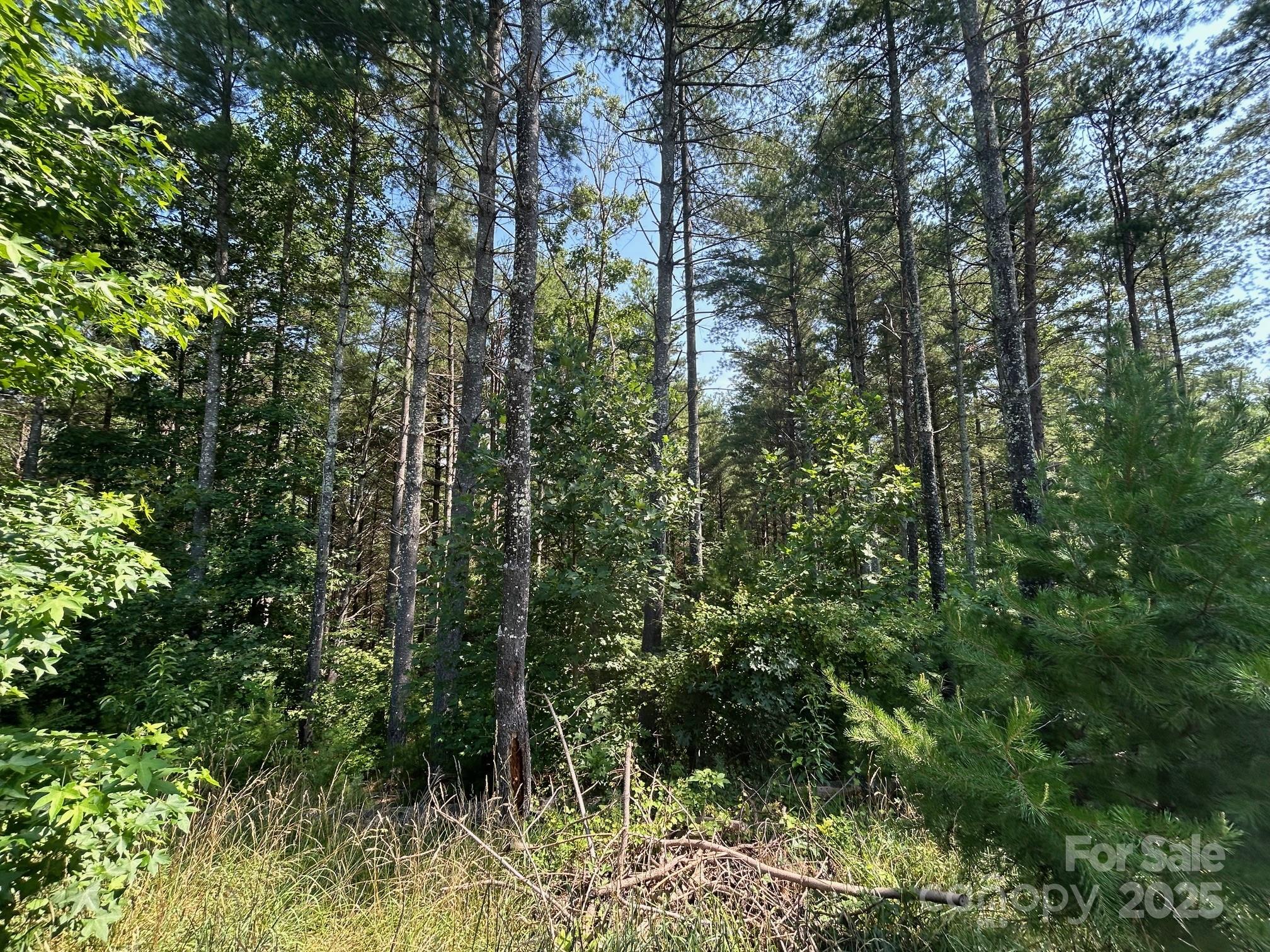 The Peninsula at Lake James - Land