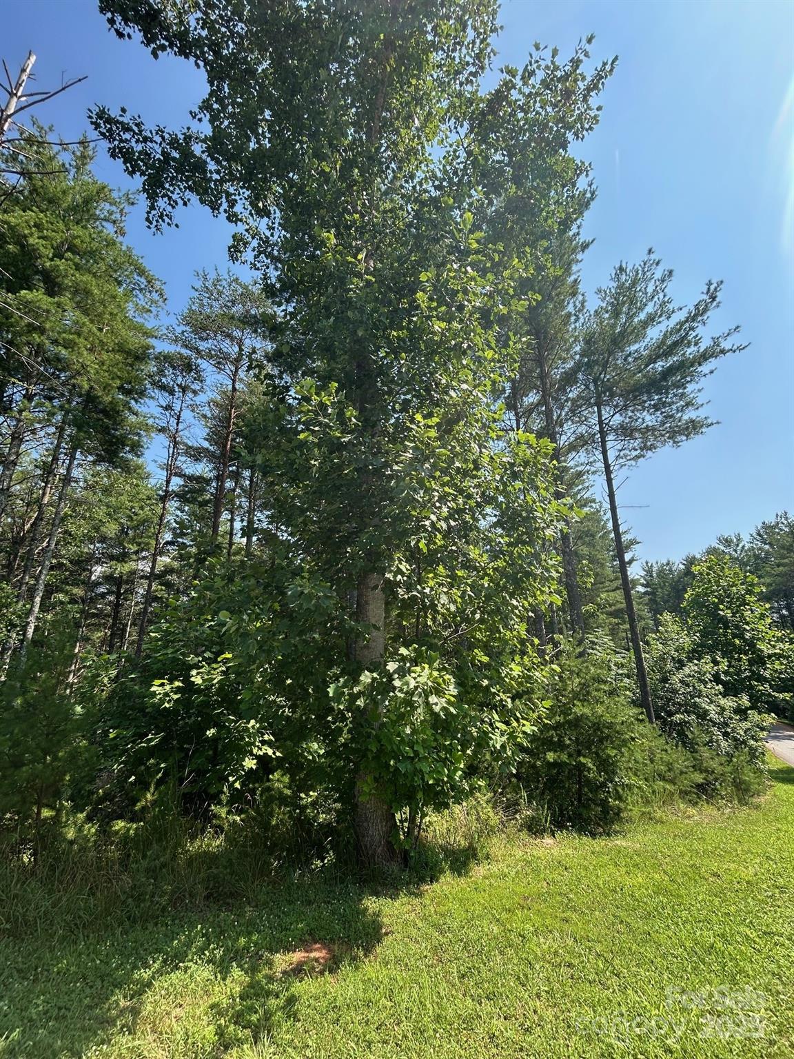 The Peninsula at Lake James - Land