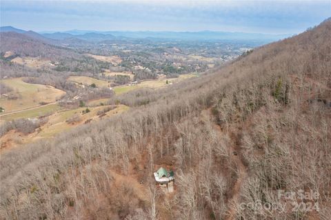 298 S Turkey Creek Road Leicester NC 28748