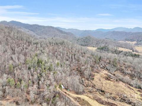 89 Kirkpatrick Cove Clyde NC 28721