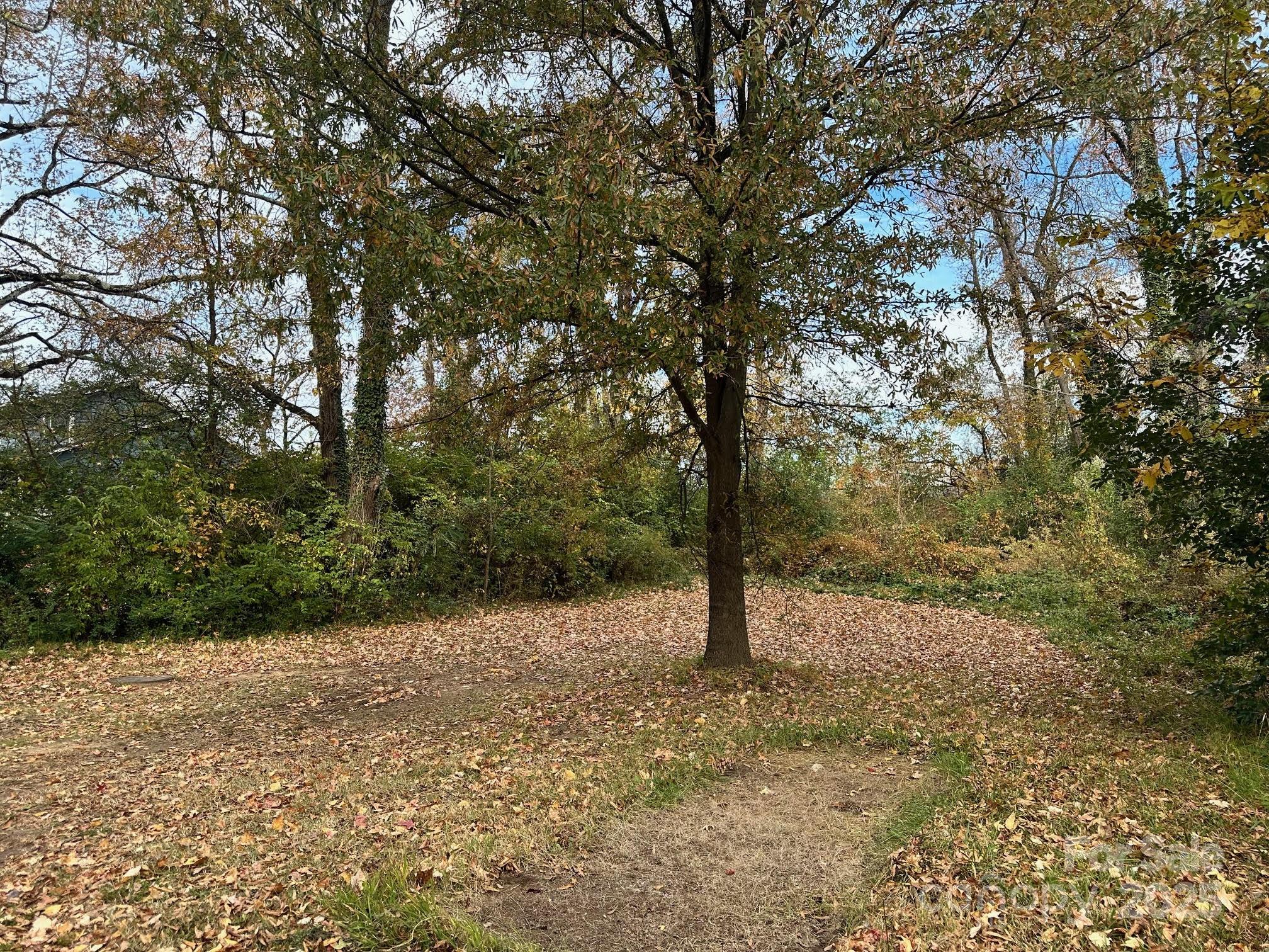 4033 Bearwood Avenue