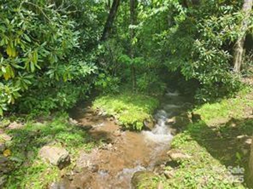 Welcome to Hemlock Falls, a truly wonderful and neighborly-oriented community in the heart of WNC! Your dream of a custom mountain home is closer than you think, thanks to this beautiful lot's incredible build advantages.

This land is genuinely ready for construction. Say goodbye to permitting and grading delays! The lot features easy, direct access, a roughed-in house pad already prepped for your foundation, and a crucial 2-bedroom septic permit already in place. All that's left is to finalize your blueprints and start building!

The property's natural charm is unmatched. This southern-facing lot ensures you enjoy ample sunshine year-round, while the soothing sounds of the creek that runs along the property create the perfect backdrop for relaxation. Just imagine sitting on your custom deck, clearing a few trees to enhance your mountain view, and living the serene life you've only dreamed of.

Rest easy knowing your investment is secure: the property is confirmed to be not located in or near a flood zone. Secure this fantastic opportunity and begin planning your mountain retreat today!