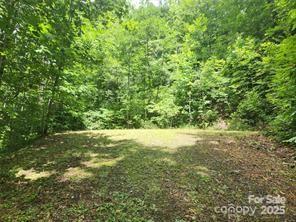 Hemlock Falls - Land