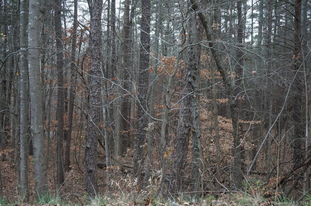 Woodstream Estates - Land