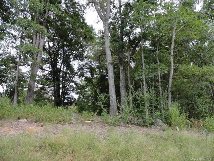 Incredible opportunity to live in one of the most sought-after areas in Fort Mill.  This lot awaits your dream home!  Only 5 lots left in this very private and quiet subdivision.  NO HOA.  1 acre, wooded lot.  Award-winning Fort Mill School District.  Close to shopping, restaurants and more!