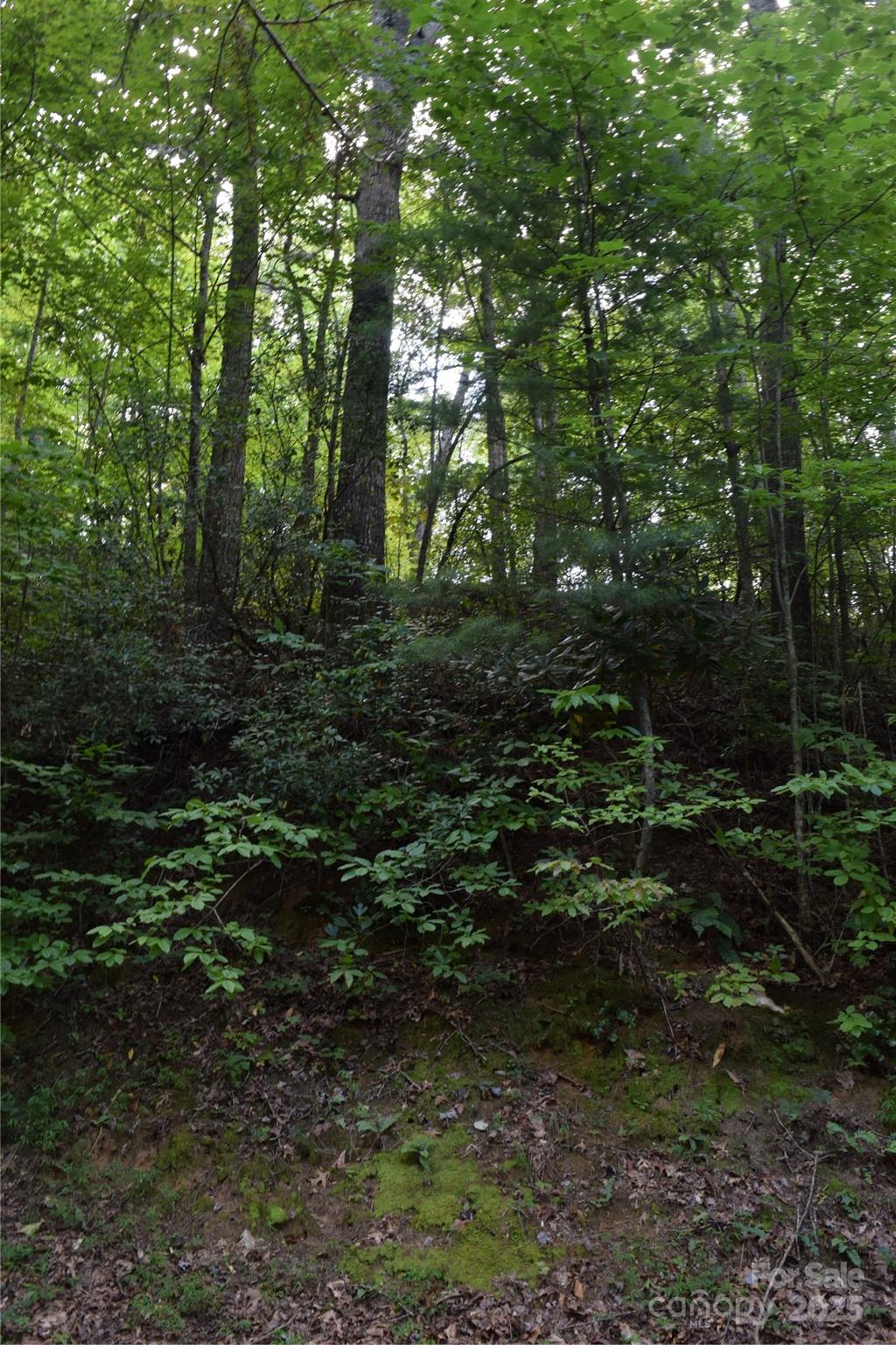 TBD Hideaway Ridge Trail 33 & 33A