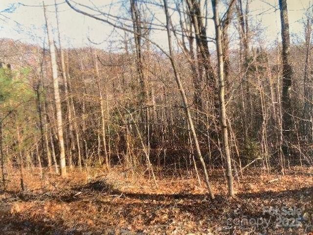 LOT 92 MOUNTAIN SUMMIT Road 92