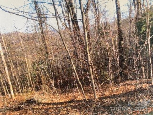LOT 92 MOUNTAIN SUMMIT Road 92