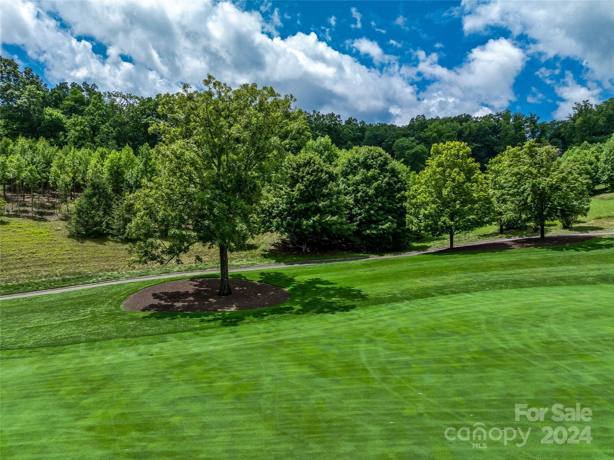 The Cliffs At Walnut Cove - Land