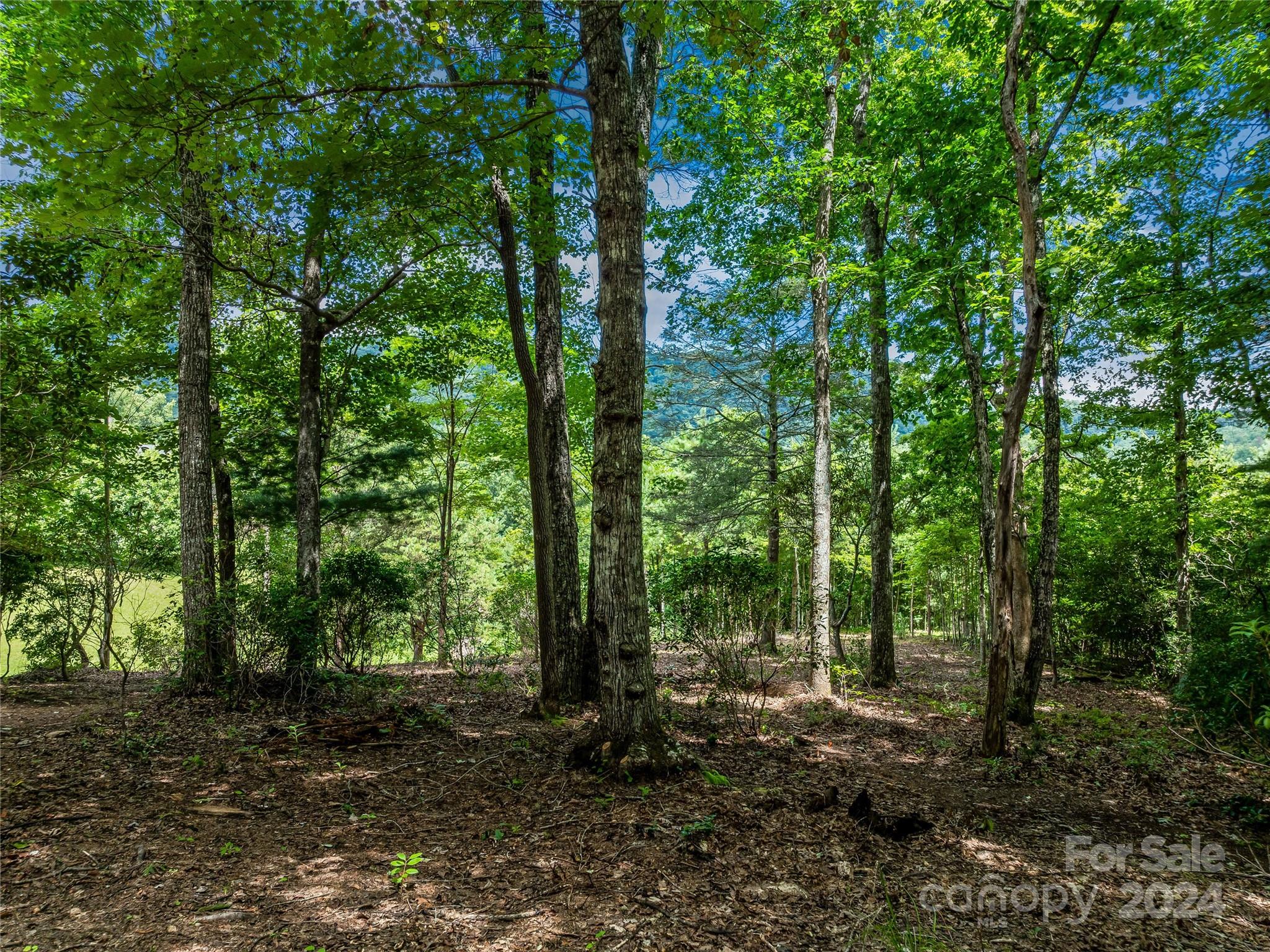 The Cliffs At Walnut Cove - Land