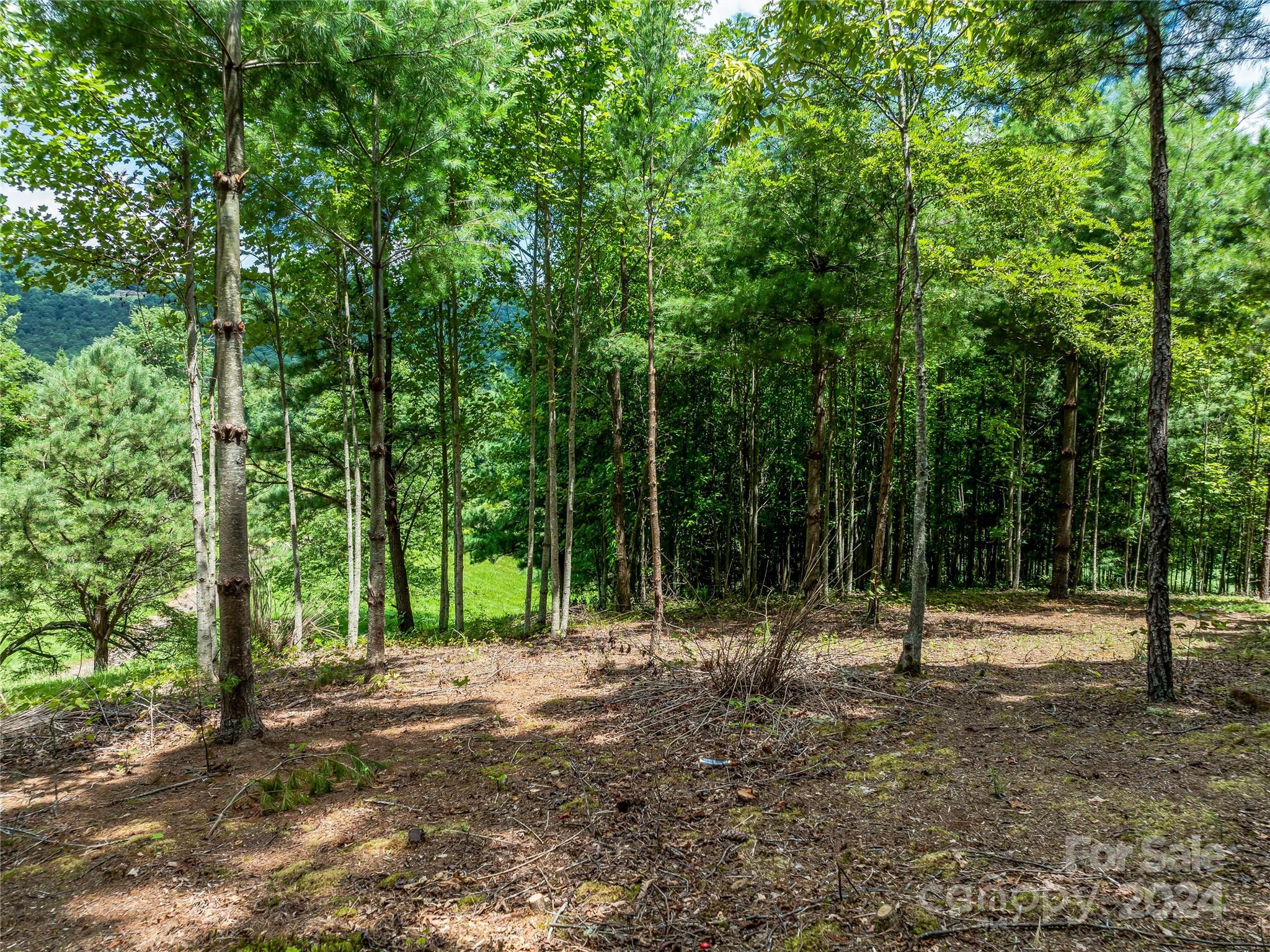 The Cliffs At Walnut Cove - Land