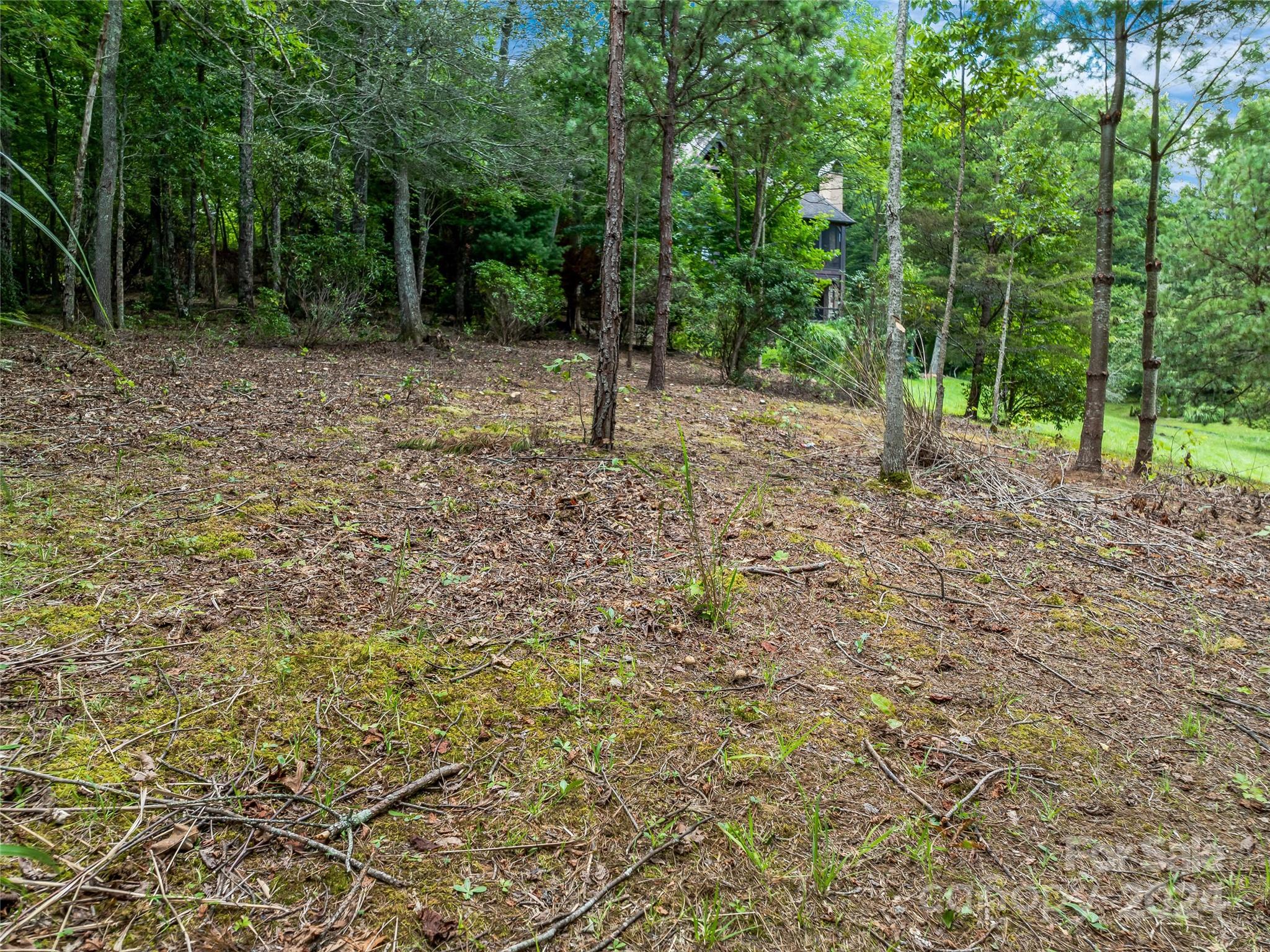 The Cliffs At Walnut Cove - Land