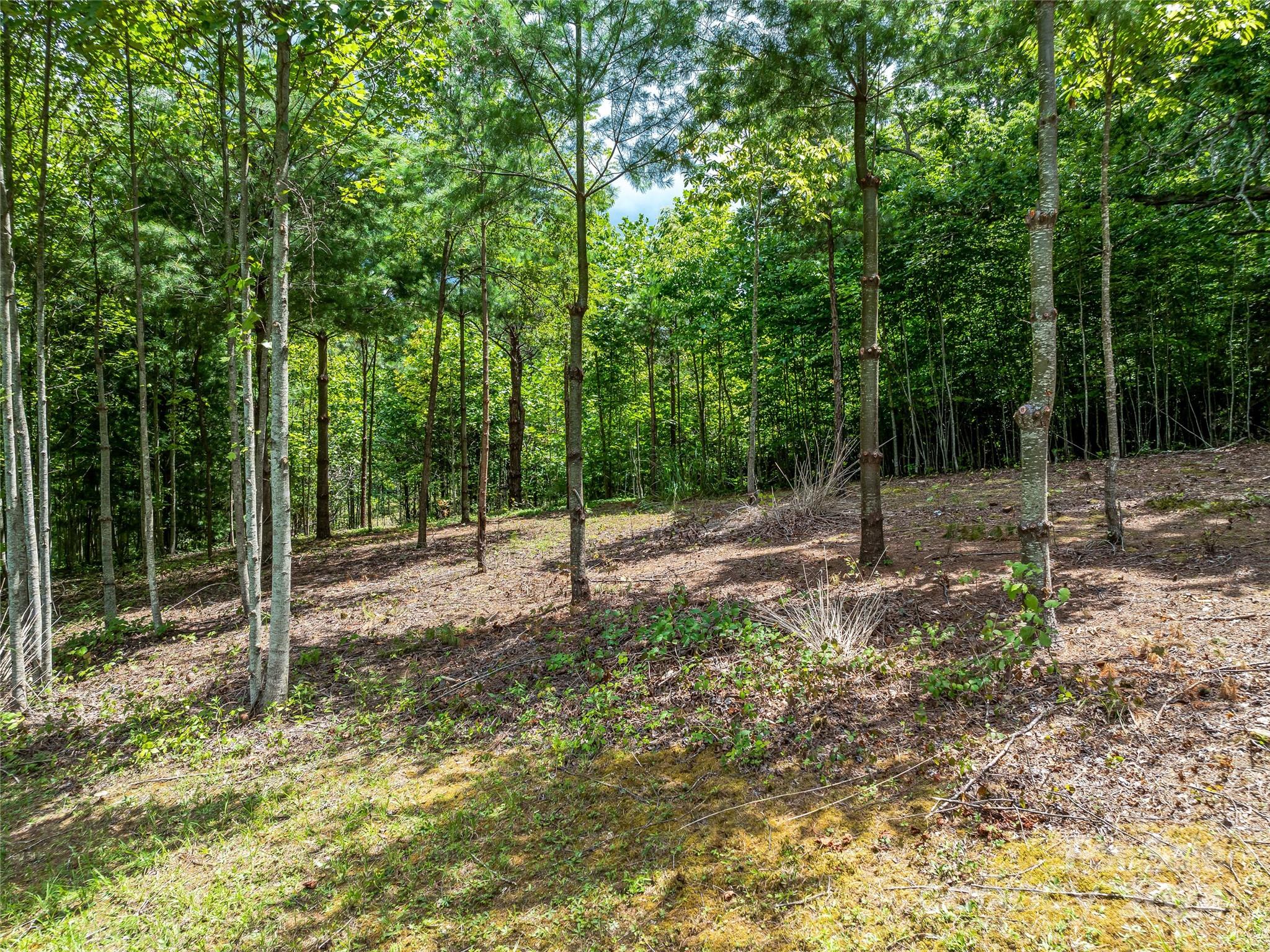 The Cliffs At Walnut Cove - Land