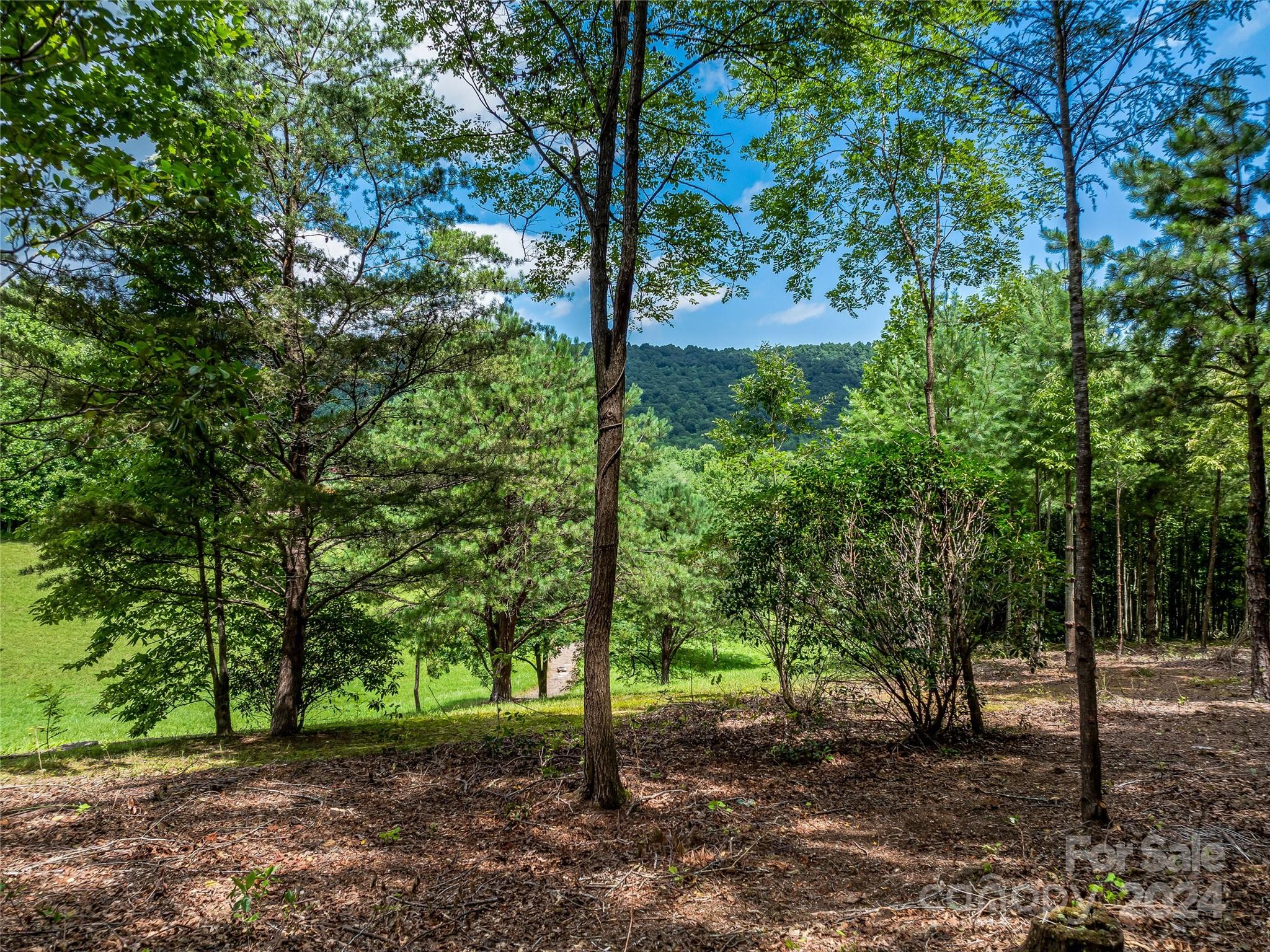 The Cliffs At Walnut Cove - Land