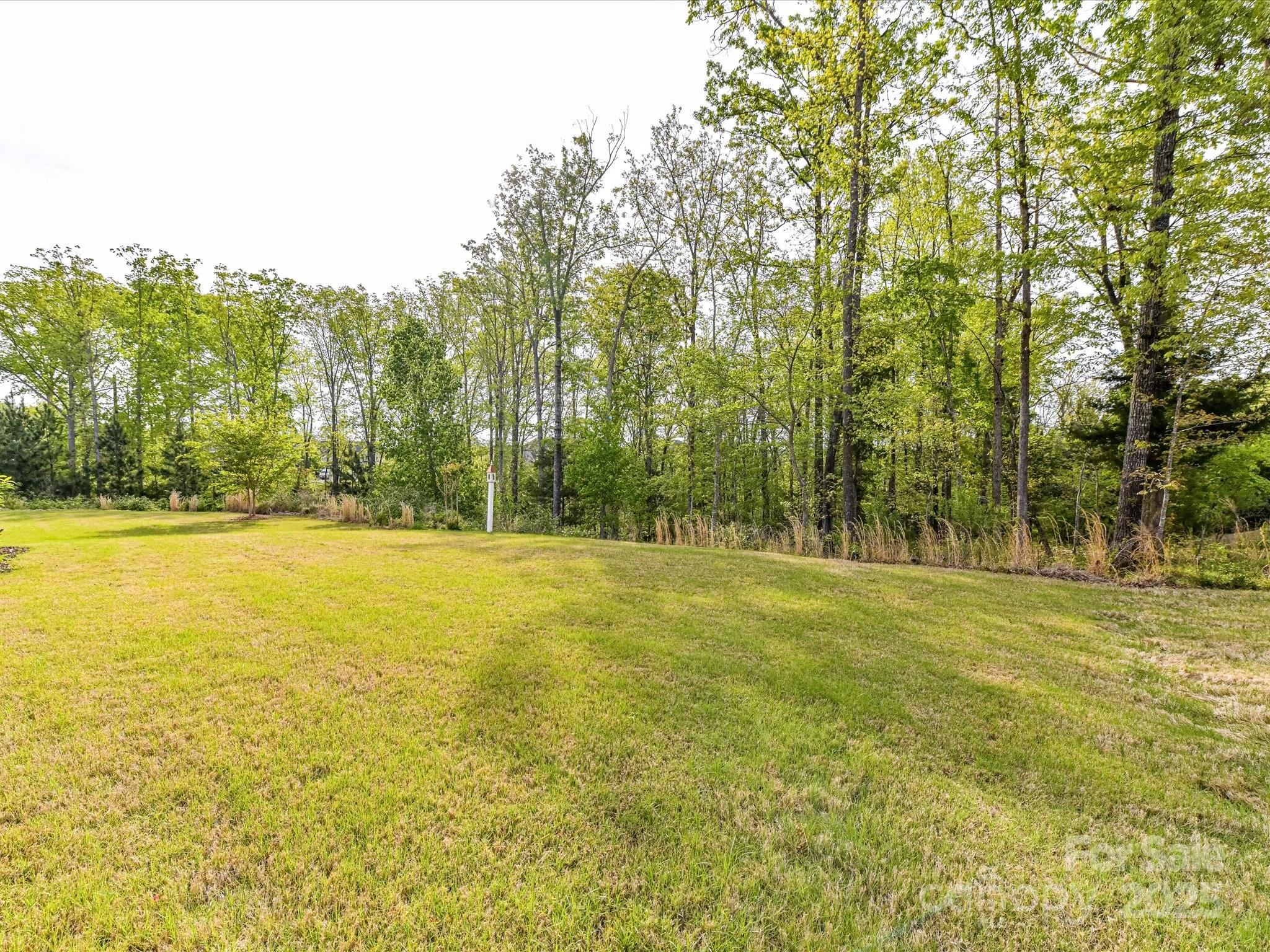 Tree Tops - Residential