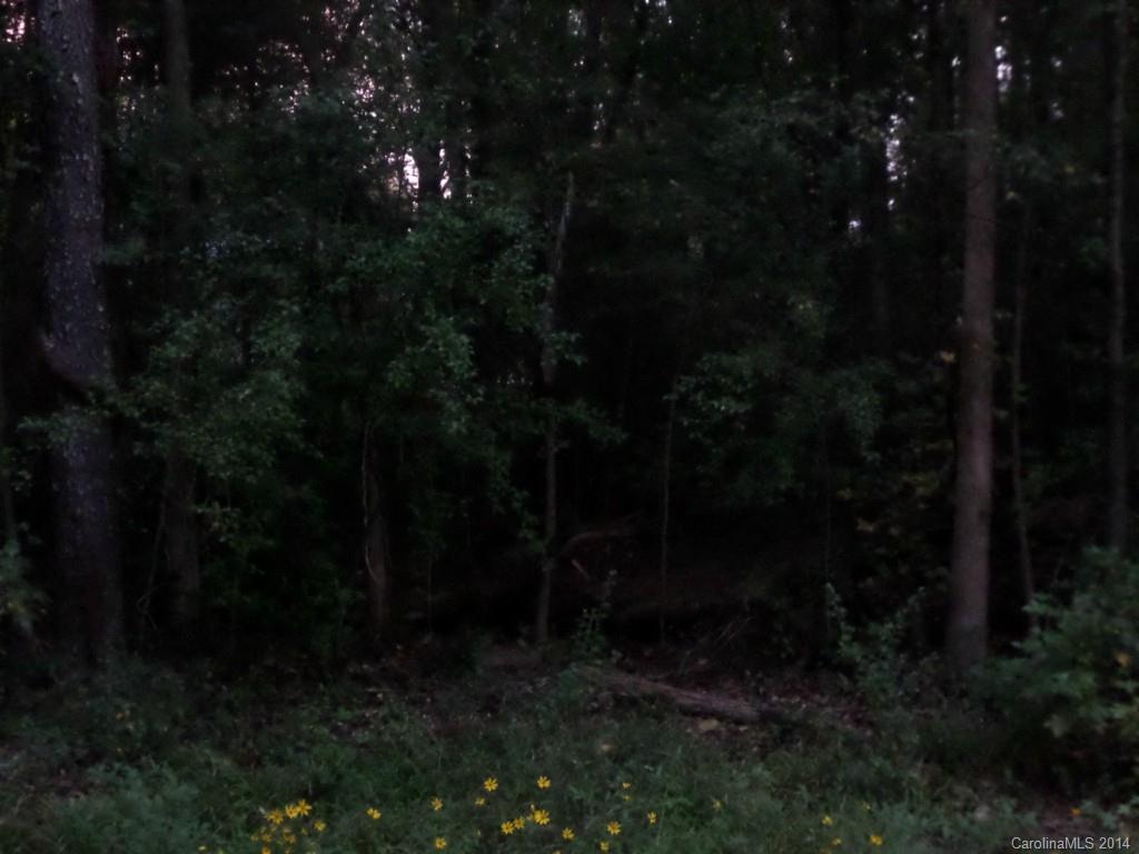 Biltmore Park - Land