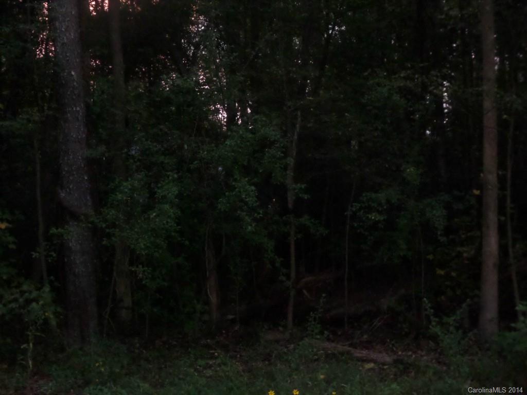 Biltmore Park - Land