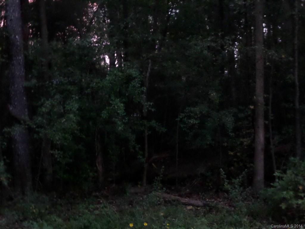 Biltmore Park - Land