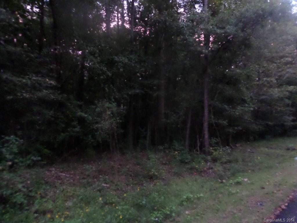 Biltmore Park - Land