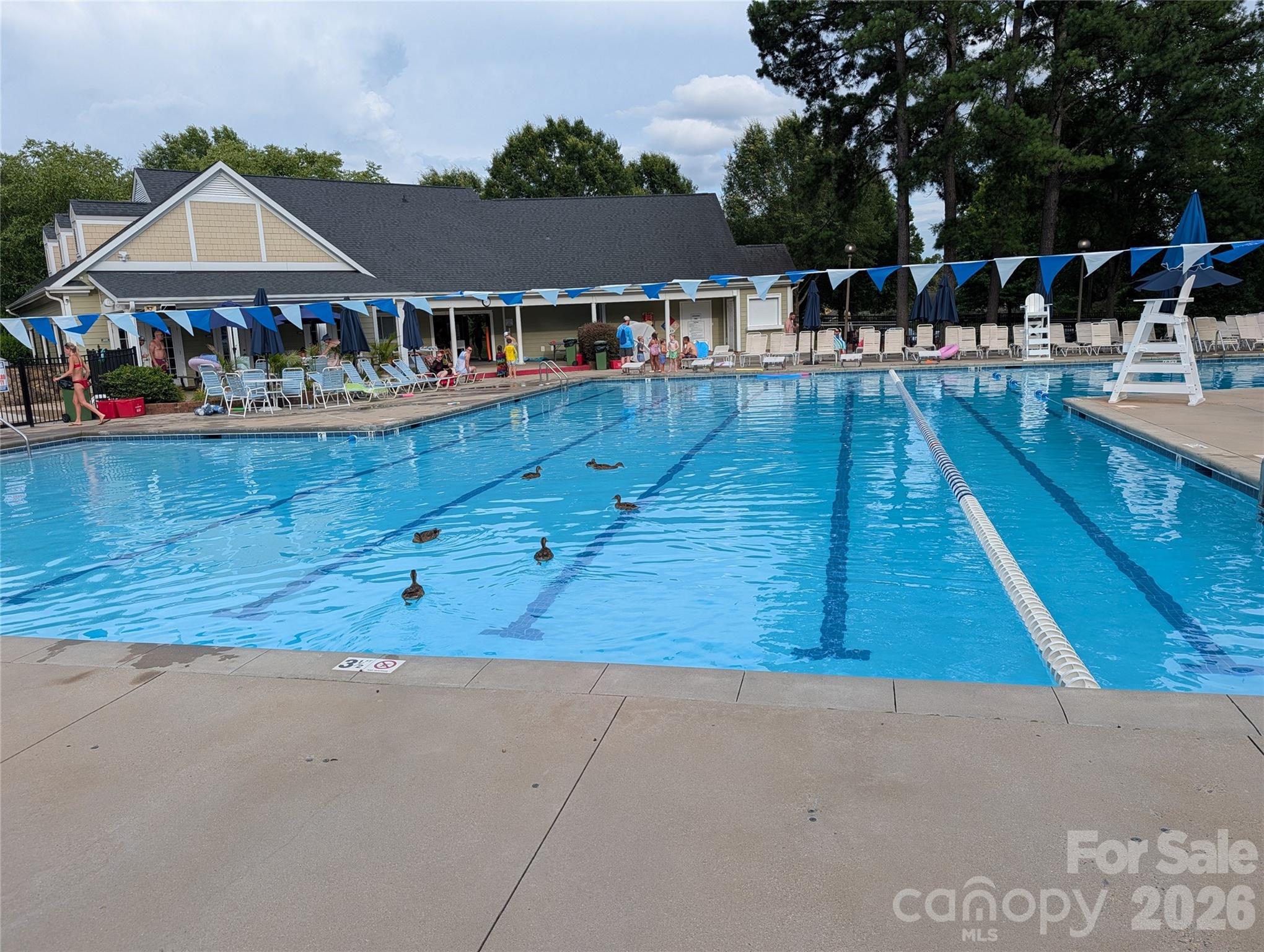 2800 Wingfield Place - Photo 4