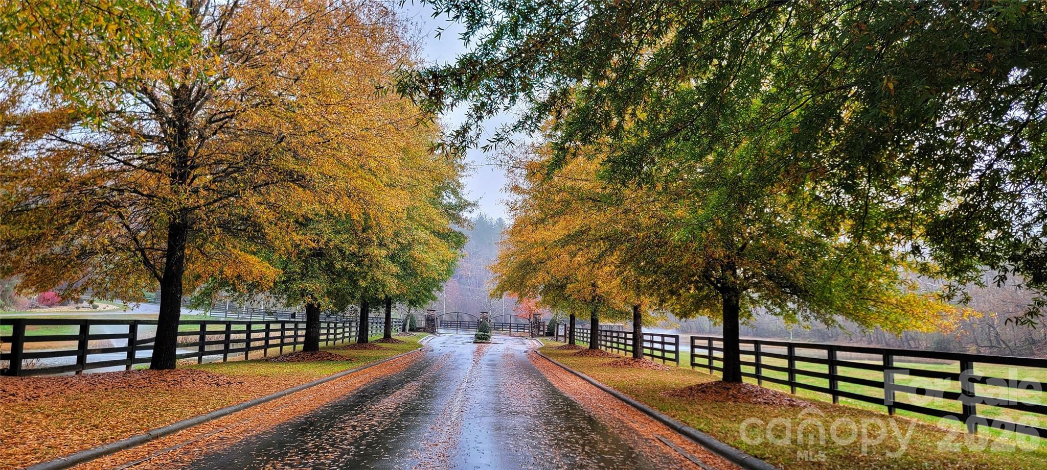 The Coves Mountain River Club - Land