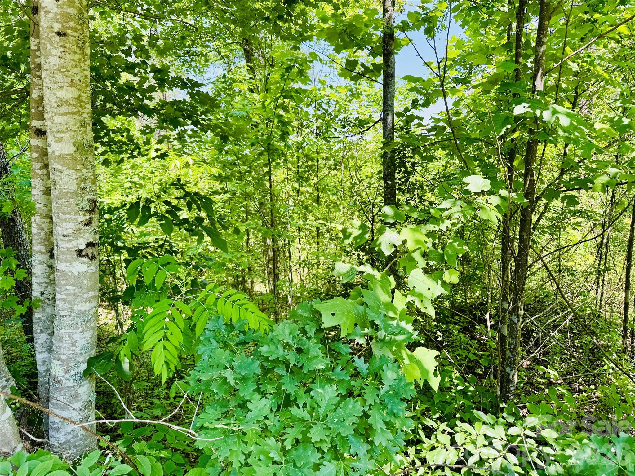 2.66 acres, Lot 903 High Valley Way 903