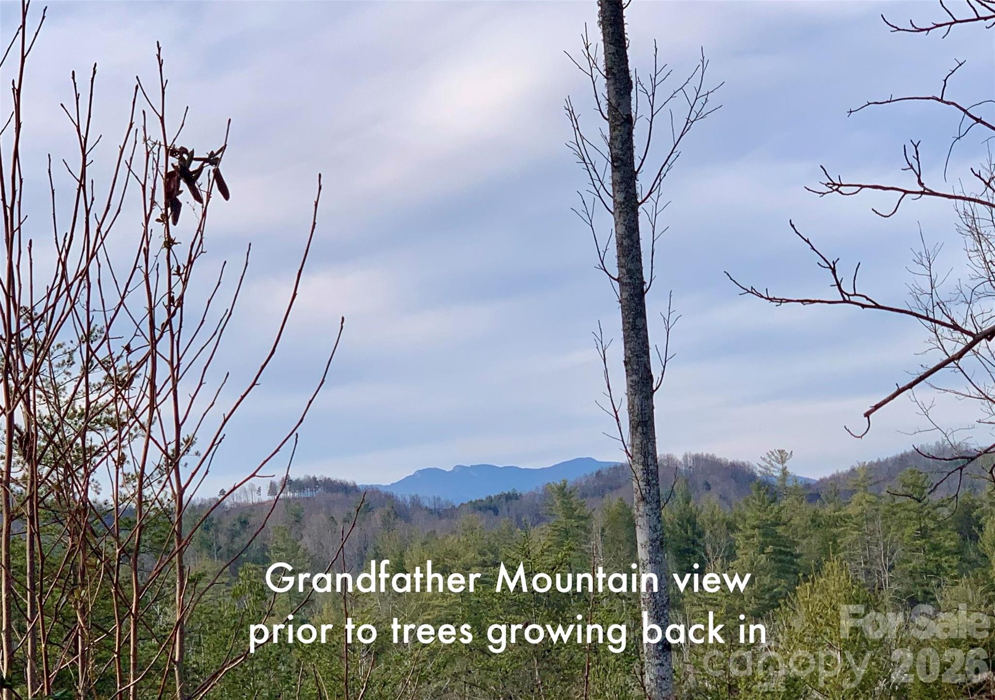 The Coves Mountain River Club - Land