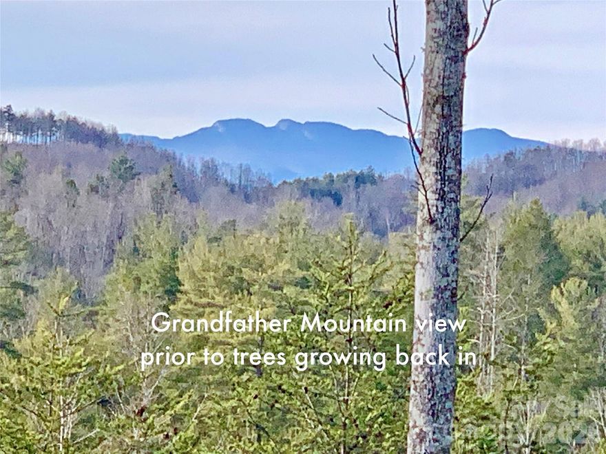 2.6 acres with an easy build site. Gently slopes to a stream. Beautiful Grandfather Mountain view is currently obstructed by trees that grew back in; but, the view can be opened back up with some tree removal. A floor plan with a walk-out basement would be perfect.  At The Coves Mountain River Club, a 3,200 acre, gated, Blue Ridge Mountain community. The lot reaches all the way to Low Country Road in back, but it is wooded so you can't see all the way to Low Country Rd from the build site.  Electric, fiber optic buried at street. Miles of trails to hike, bike, ride horses, UTV. Kayak, fish, tube on 5 miles of Johns River, on site. Riverfront picnic pavilion, kayak/canoe/tube launch and take-in, fire rings. Community gardens, vineyard. Pickleball courts. 2 equestrian centers. Dog Park. Spectacular post/beam clubhouse: fitness center, locker rooms, saline pool, fire pits, lending library, wrap around porches/ decks to take in 360º views of Blue Ridge Mountains, South Mountains, and Brushy Mountains. Socials, excursions, hiking, travel, yoga. Pisgah National Forest across the road! 1.25 hour to Charlotte/Asheville. Minutes to Blowing Rock, Morganton, Lenoir. I-40 - 30 mins. No time limits for when you start building.