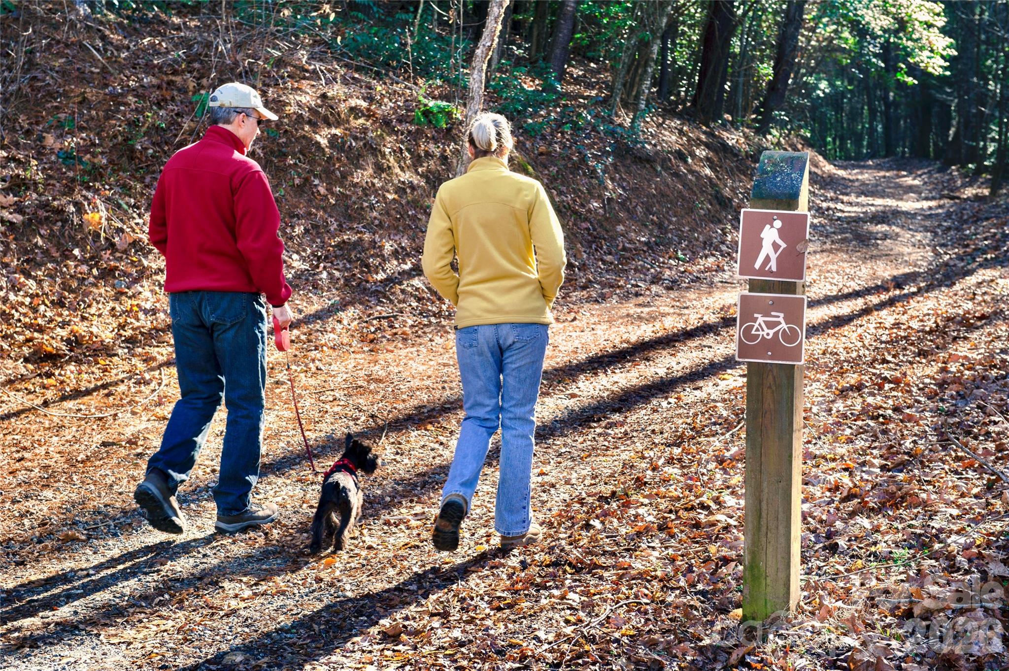 The Coves Mountain River Club - Land