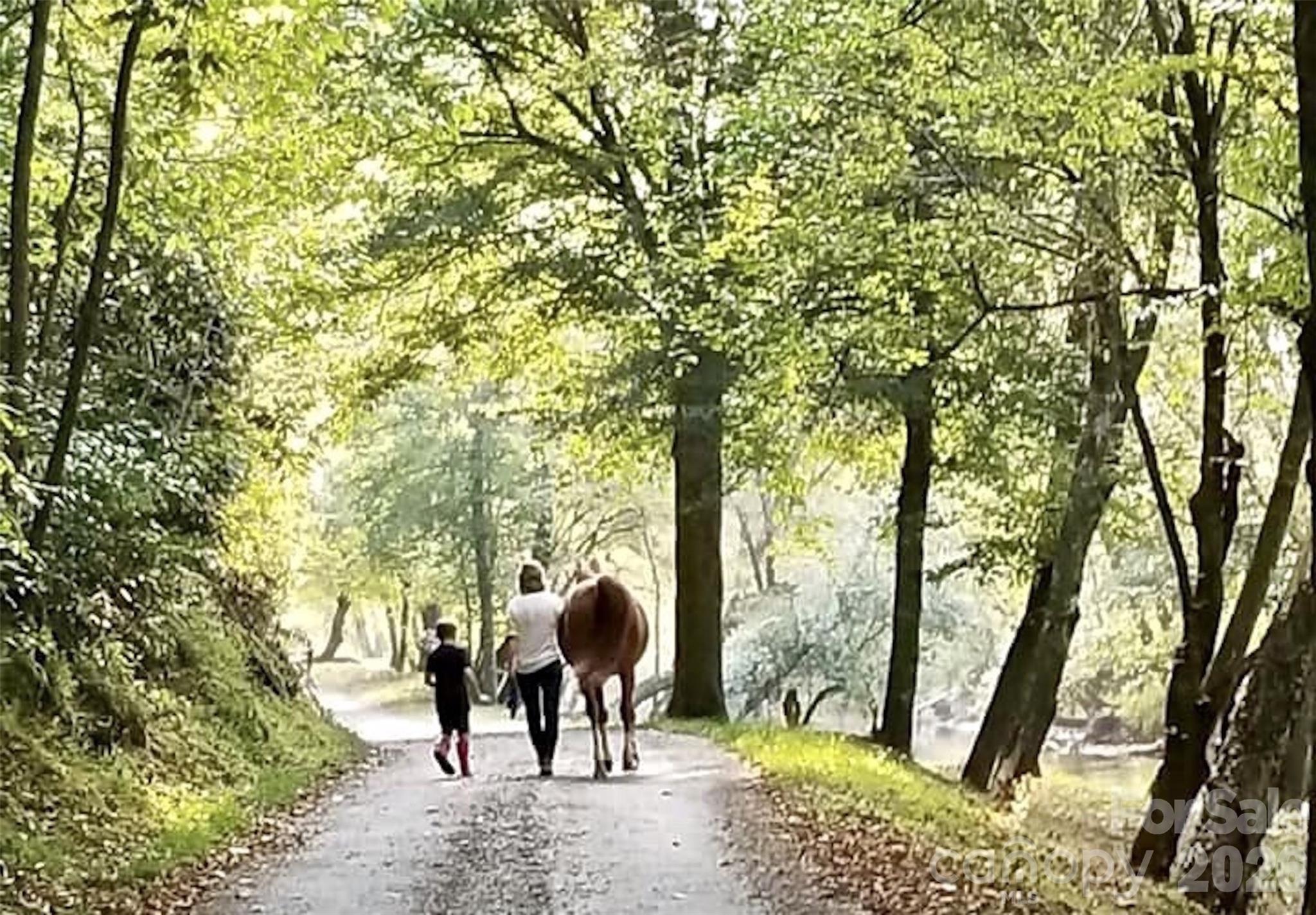 The Coves Mountain River Club - Land