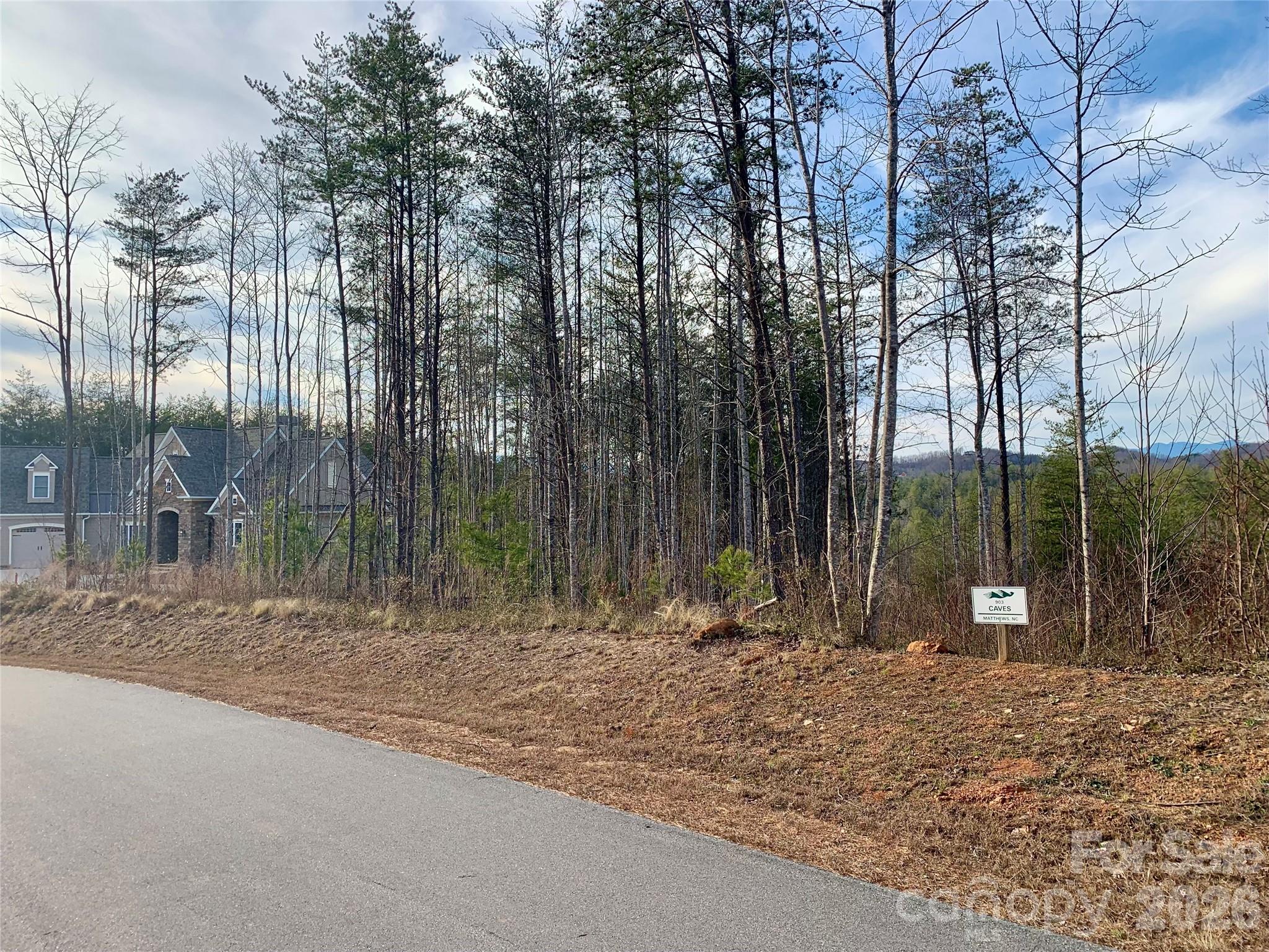 The Coves Mountain River Club - Land