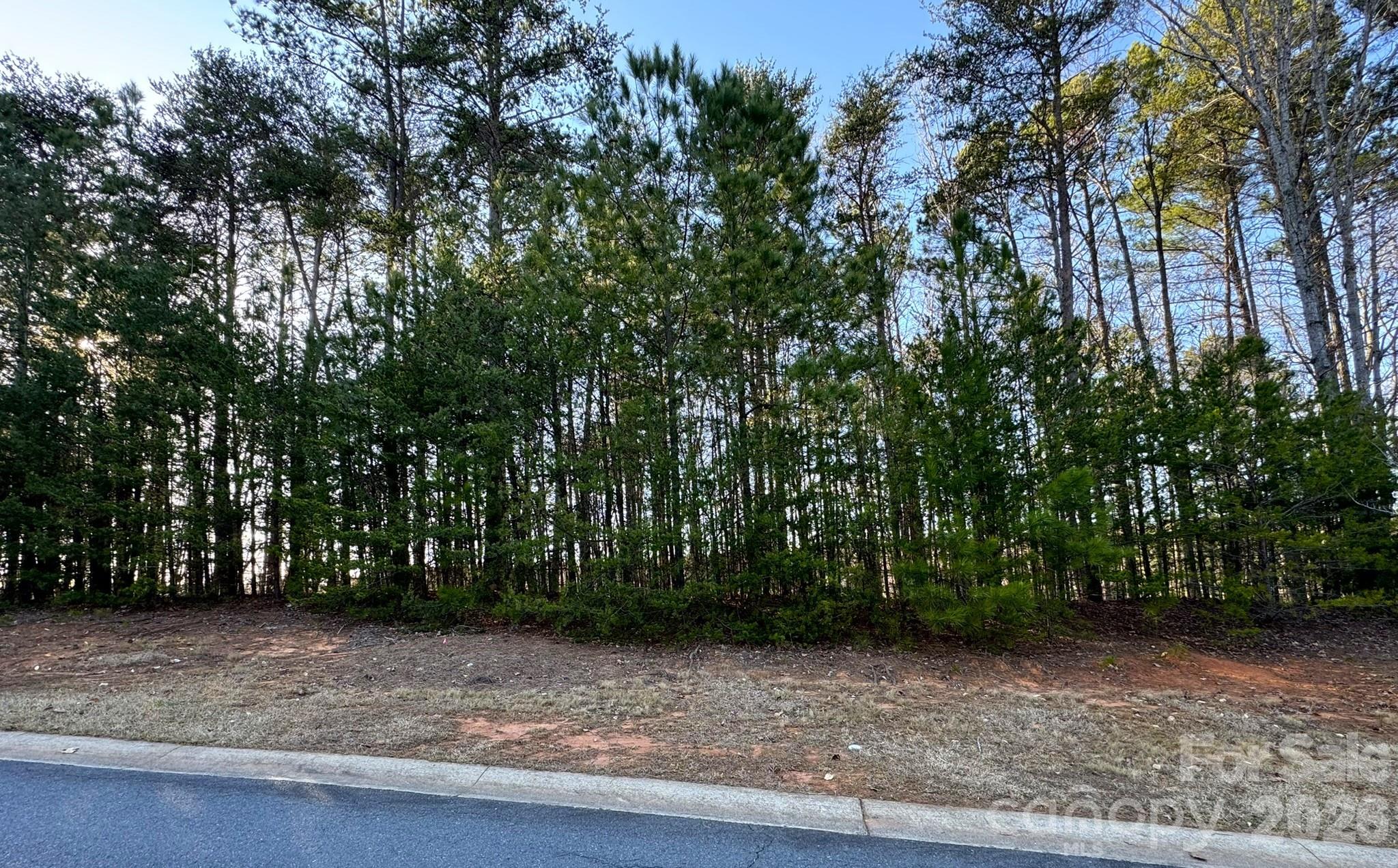 Reflection Pointe - Land