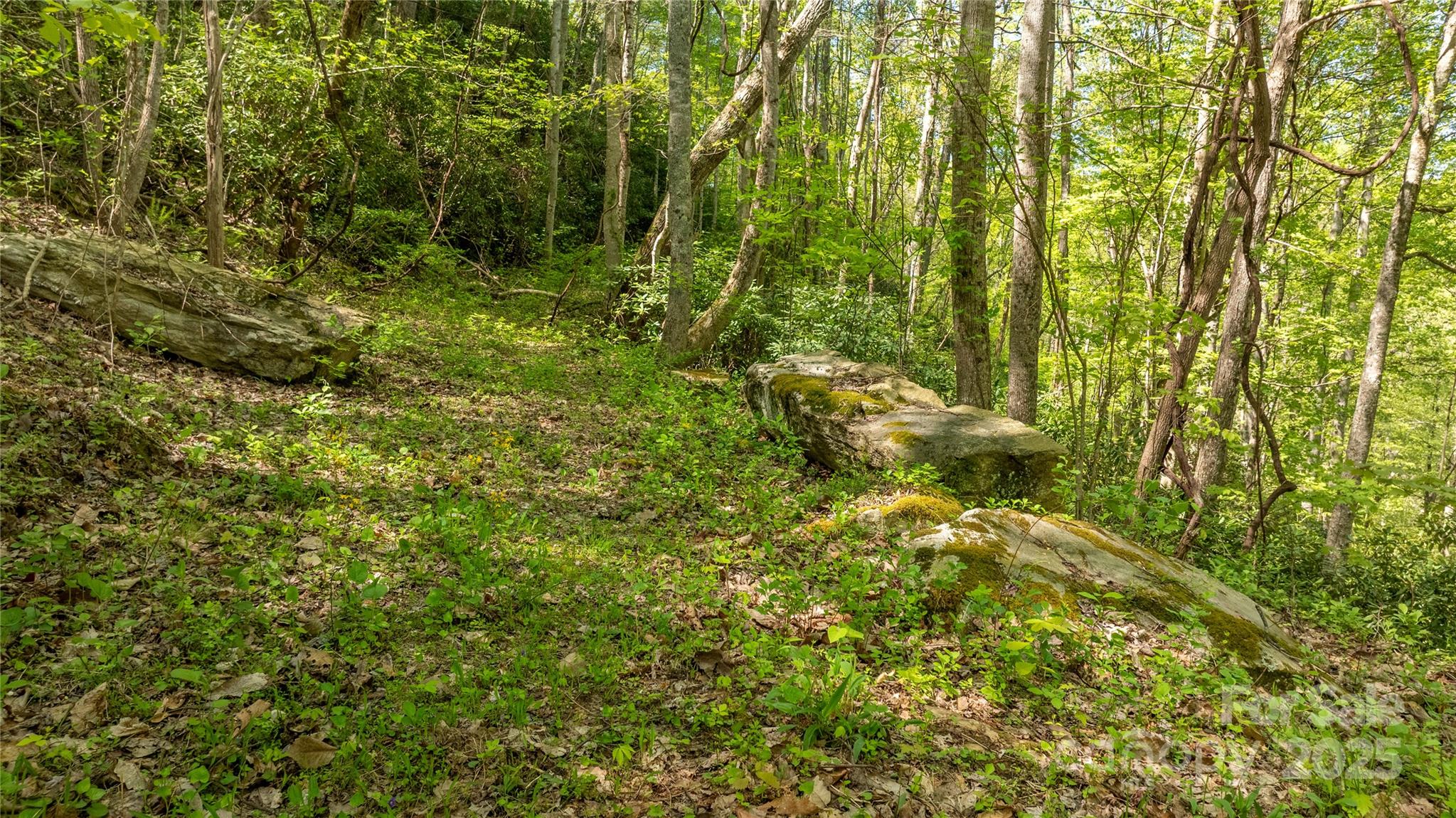 Mountain Park - Land