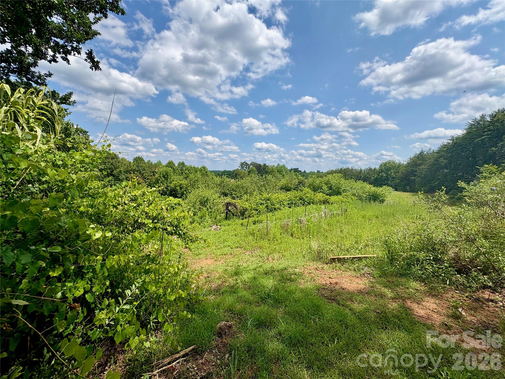 1812 Freemantown Road
