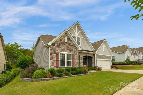 Photo of 10026 St Kitts Landing Lane, Charlotte, NC 28278 (MLS # 4307204)